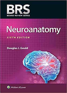 عکس BRS Neuroanatomy (Board Review Series) Sixth Edition 2020 نوروآناتومی ویرایش ششم